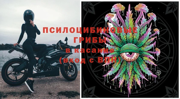 бошки Богданович