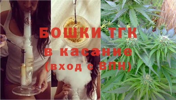 бошки Богданович