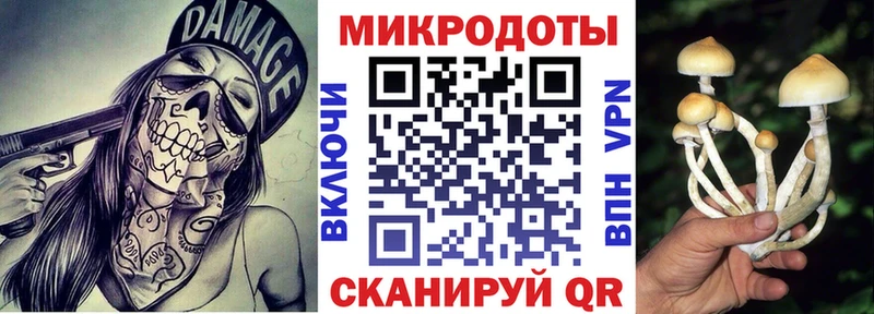 Галлюциногенные грибы MAGIC MUSHROOMS  Купить  Колпашево 