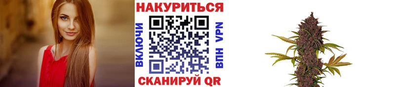 Купить где  Колпашево  Канабис планчик 